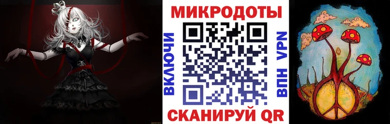 хочу наркоту  Вольск  Галлюциногенные грибы Psilocybe 